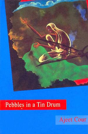 Pebbles in a Tin Drum by Ajīta Kaura, Ajeet Cour