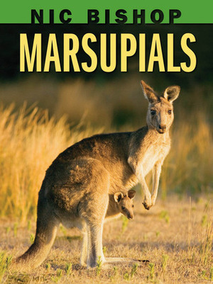 Marsupials by Nic Bishop