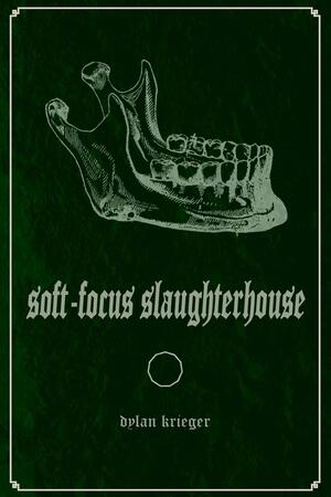 Soft Focus Slaughterhouse by Dylan Krieger