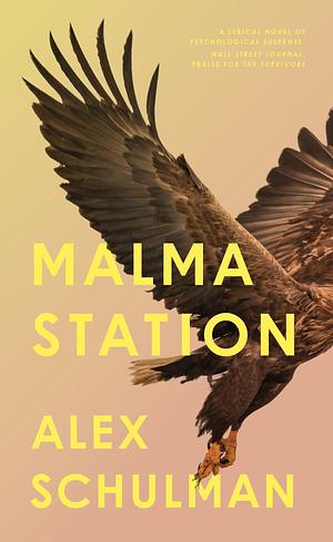 Malma Station by Alex Schulman