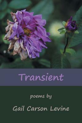 Transient by Gail Carson Levine