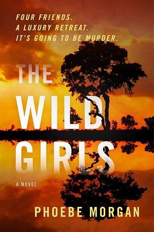 The Wild Girls by Phoebe Morgan