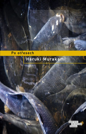 Po otřesech by Tomáš Jurkovič, Haruki Murakami