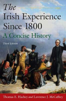 The Irish Experience Since 1800: A Concise History: A Concise History by Thomas E. Hachey, Lawrence J. McCaffrey