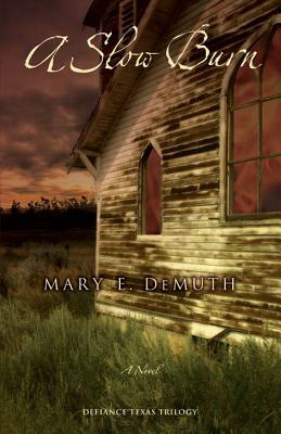 A Slow Burn by Mary E. DeMuth
