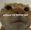 aly_soooon's profile picture