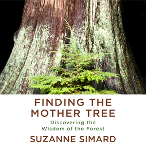 Finding the Mother Tree: Finding the Wisdom of the Forest by Suzanne Simard