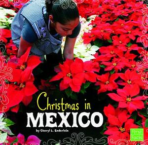 Christmas in Mexico by Cheryl L. Enderlein