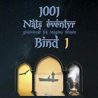 1001 Nats eventyr by Anonymous