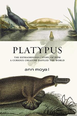 Platypus by Ann Moyal