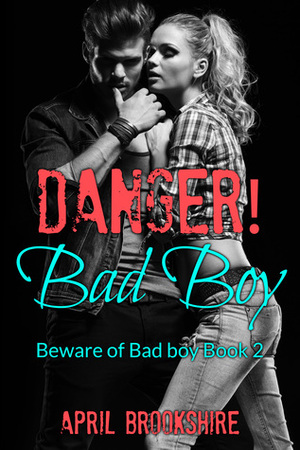 Danger! Bad Boy by April Brookshire