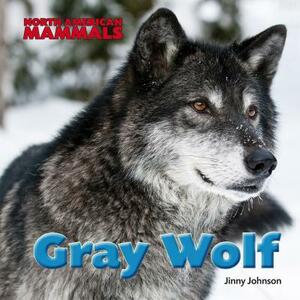 Gray Wolf by Jinny Johnson