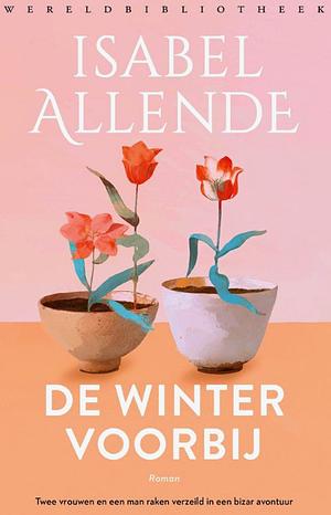 De winter voorbij by Isabel Allende