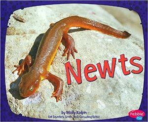 Newts by Molly Kolpin, Gail Saunders-Smith