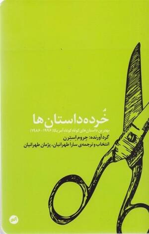 خرده داستان‌ها by Jerome Stern