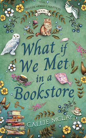 What If We Met In A Bookstore by Callie McLay