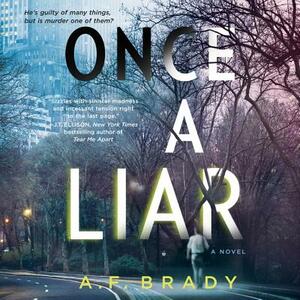 Once a Liar by A.F. Brady