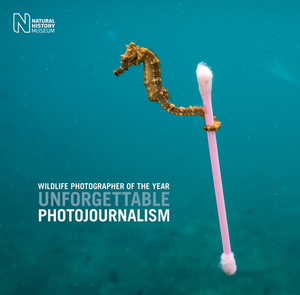 Wildlife Photographer of the Year: Unforgettable Photojournalism by 