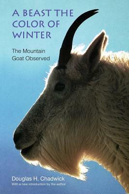 A Beast the Color of Winter: The Mountain Goat Observed by Douglas H. Chadwick