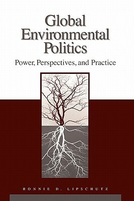 Global Environmental Politics: Power, Perspectives, and Practice by Ronnie D. Lipschutz