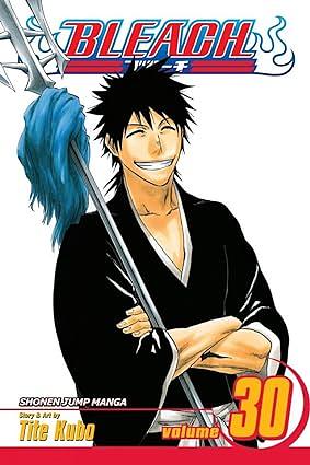 Bleach, Vol. 30: There Is No Heart Without You by Tite Kubo
