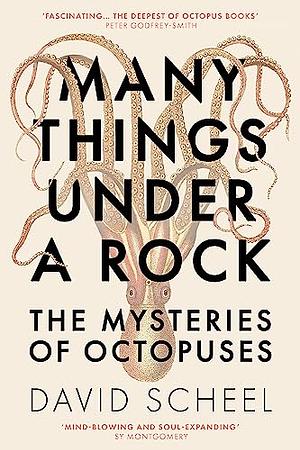 Many Things Under a Rock: The Mysteries of Octopuses by David Scheel