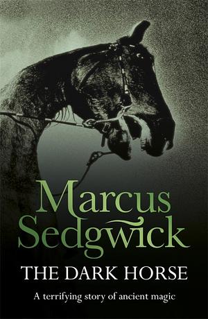 The Dark Horse by Marcus Sedgwick