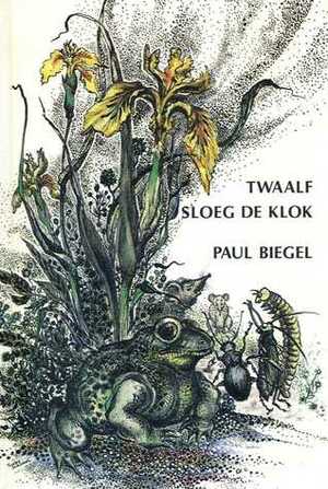 Twaalf sloeg de klok by Tineke Schinkel, Paul Biegel