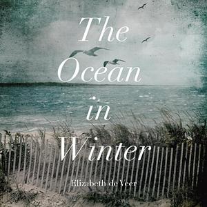 The Ocean In Winter by Elizabeth de Veer