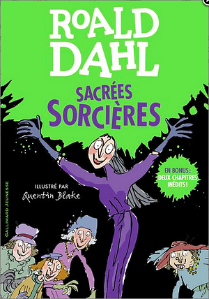 Sacrées Sorcières by Roald Dahl