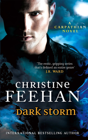 Dark Storm by Christine Feehan