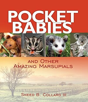 Pocket Babies: And Other Amazing Marsupials by Sneed B. Collard III