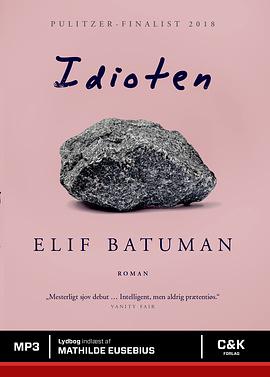 Idioten by Elif Batuman