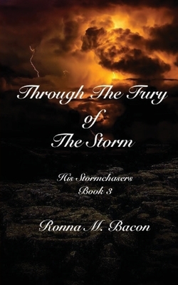 Through The Fury of The Storm by Ronna M. Bacon