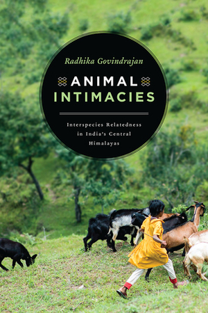 Animal Intimacies: Interspecies Relatedness in India's Central Himalayas by Radhika Govindrajan