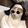rachebeck's profile picture