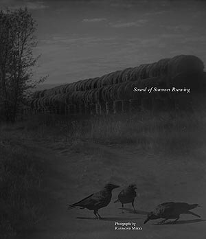 Sounds of Summer Running by Raymond Meeks