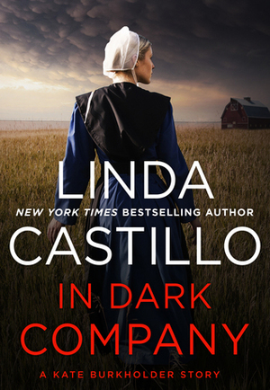 In Dark Company by Linda Castillo