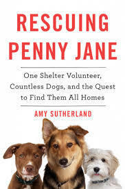 Rescuing Penny Jane: One Shelter Volunteer, Countless Dogs, and the Quest to Find Them All Homes by Amy Sutherland