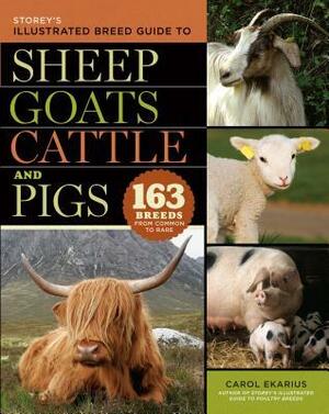 Storey's Illustrated Breed Guide to Sheep, Goats, Cattle and Pigs: 163 Breeds from Common to Rare by Carol Ekarius