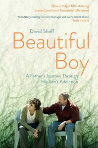 Beautiful Boy: A Father's Journey Through His Son's Addiction by David Sheff