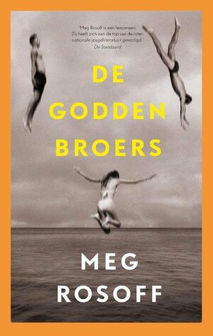 De Godden broers by Meg Rosoff