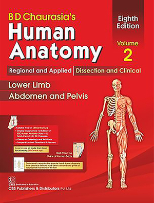 Bd Chaurasia's Human Anatomy, Volume 2: Regional and Applied Dissection and Clinical: Lower Limb, Abdomen and Pelvis by B. D. Chaurasia