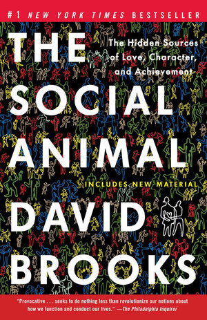 The Social Animal: The Hidden Sources of Love, Character, and Achievement by David Brooks