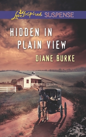 Hidden in Plain View by Diane Burke