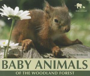 Baby Animals of the Woodland Forest by Carmen Bredeson