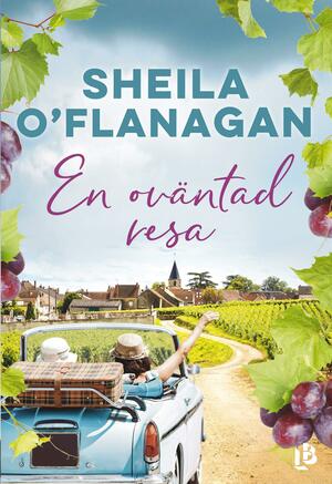 En oväntad resa by Sheila O'Flanagan