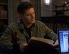 raccoonstiel's profile picture