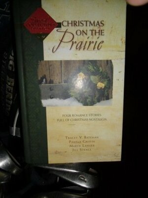 Christmas On The Prairie: Take Me Home/One Wintry Night/The Christmas Necklace/Colder Than Ice by Pamela Griffin, Maryn Langer, Jill Stengl, Tracey Bateman