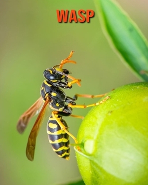 Wasp: Learn About Wasp and Enjoy Colorful Pictures by Matilda Leo